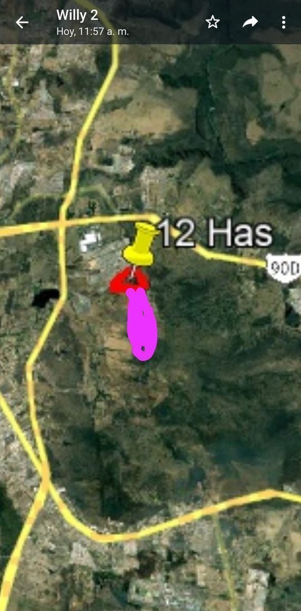 Imagen 4 de 4