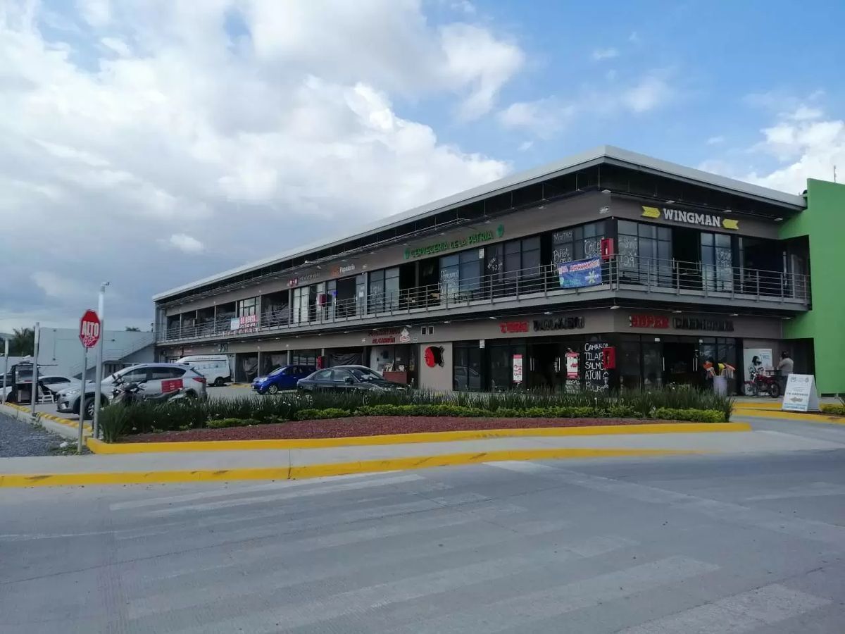5 de 8