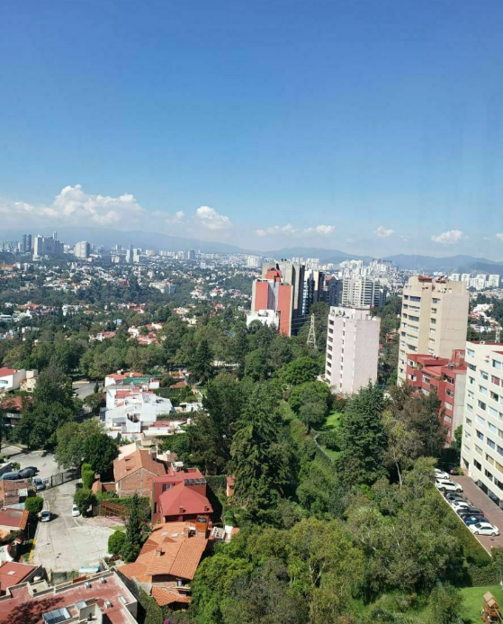 14 de 15