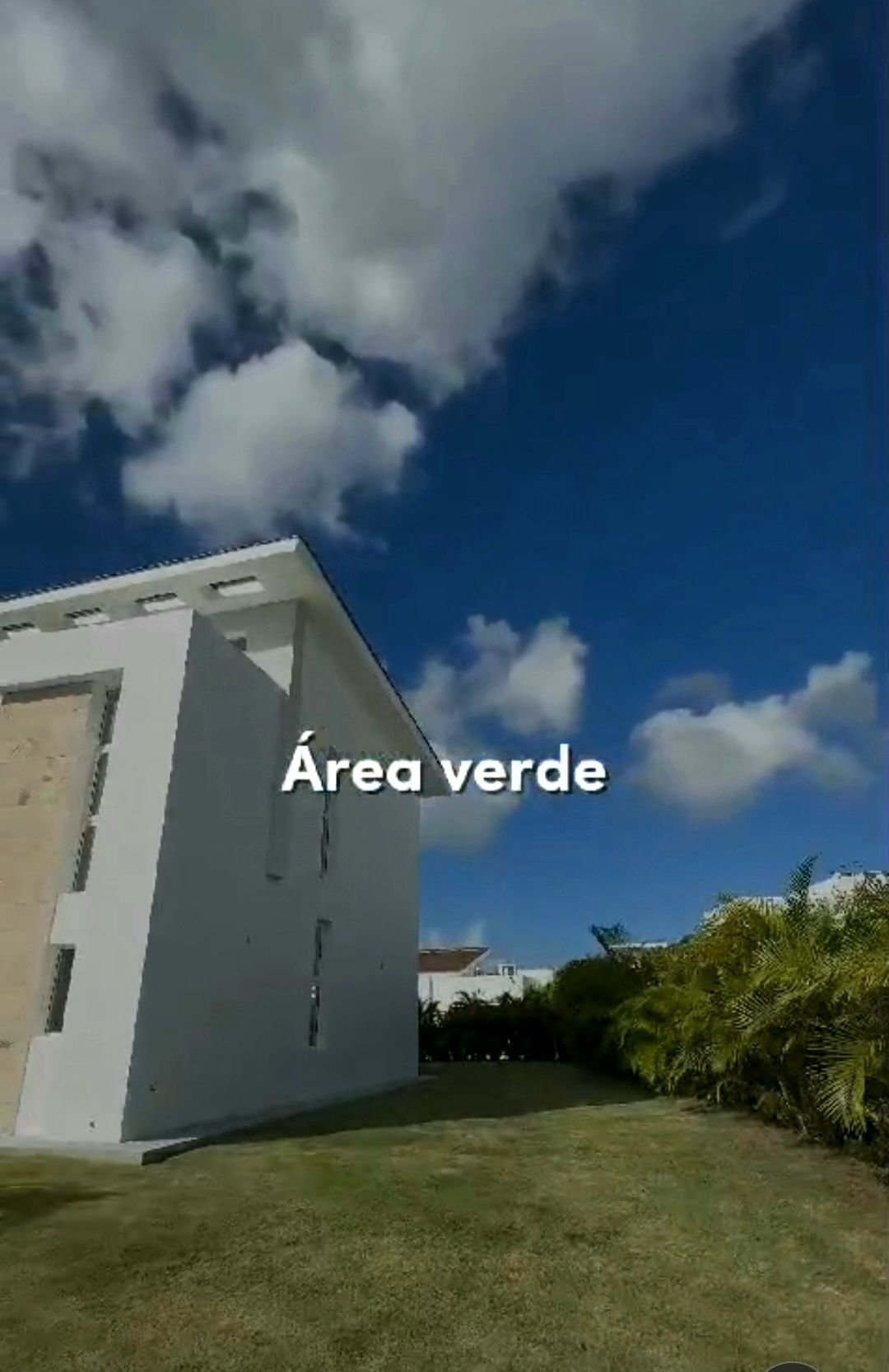 3 de 16