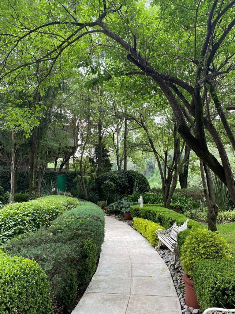 Apartamento em Lomas de Chapultepec I Sección, Miguel Hidalgo, foto 10 de 15