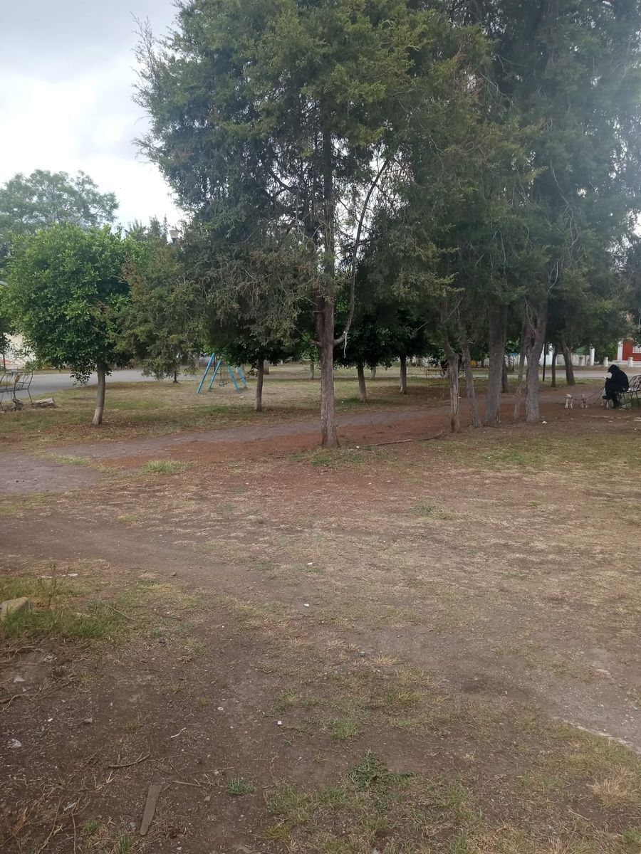 3 de 20