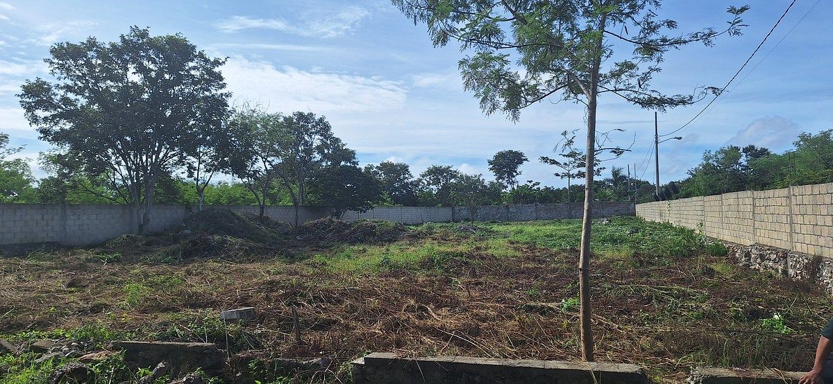 Land for SALE in Chichí Suárez, 3 streets from Los Héroes - foto 5
