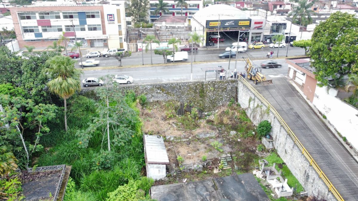 Imagen 1 de 10