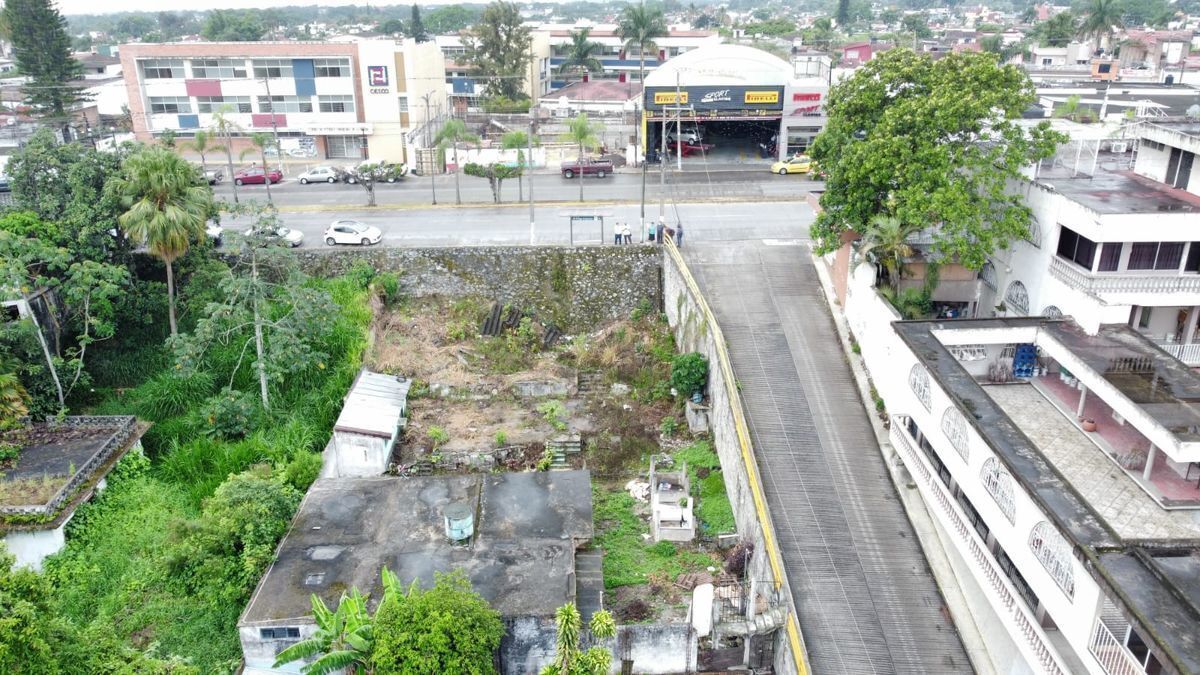 Imagen 6 de 10
