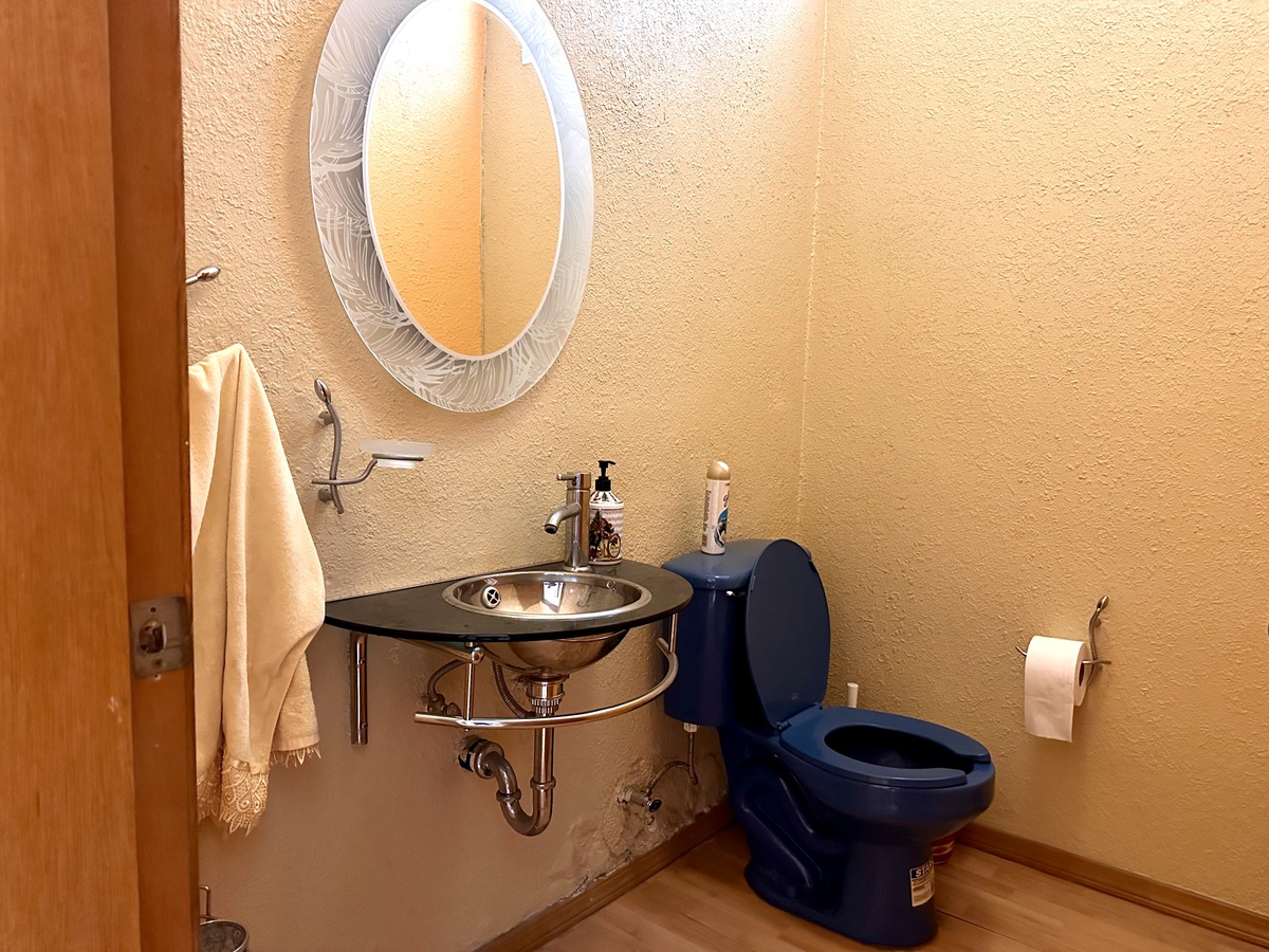 14 de 28: Medo baño en planta baja