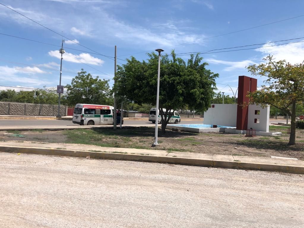 24 de 24
