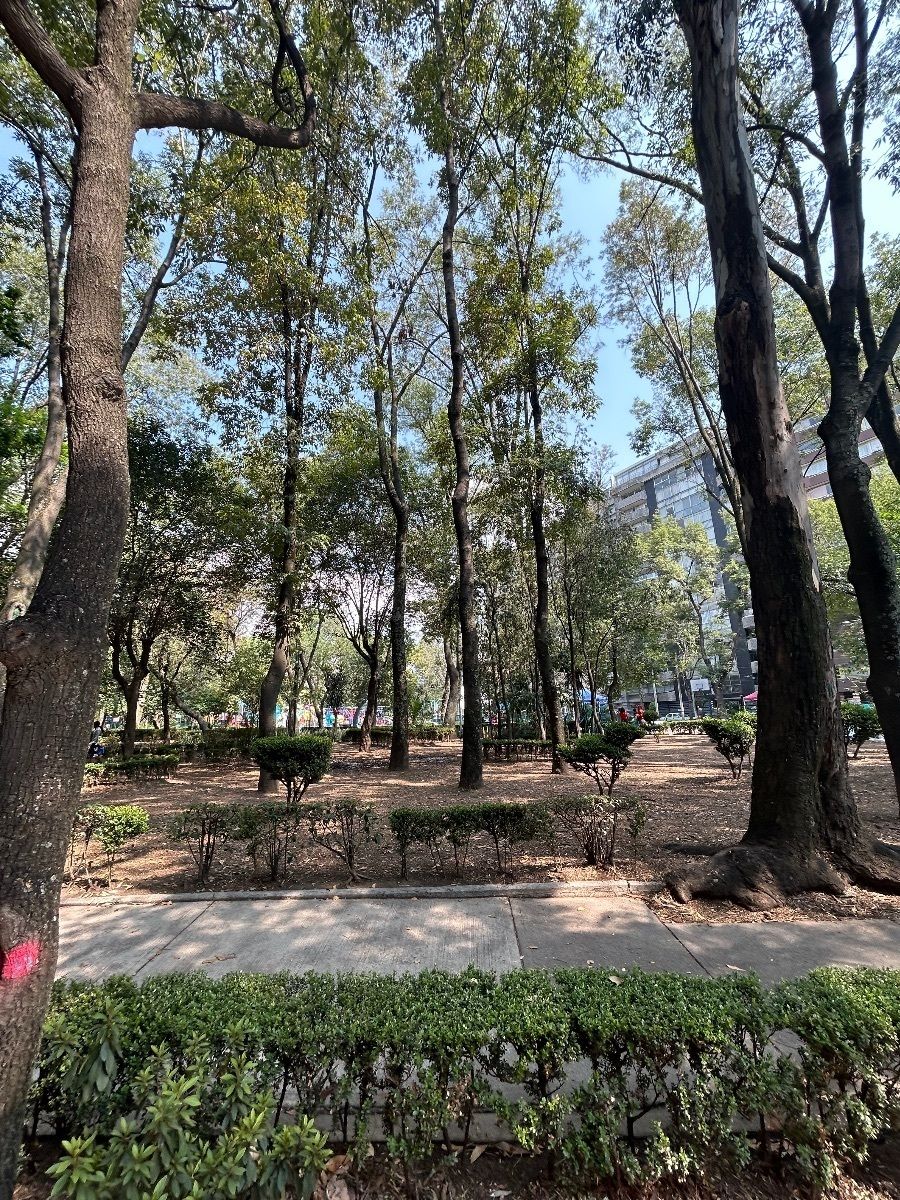 44 de 46