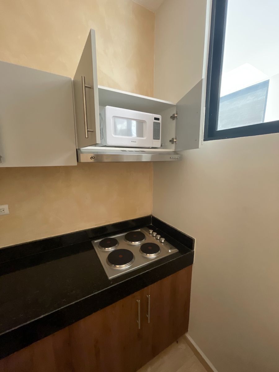 6 de 12: micro - estufa