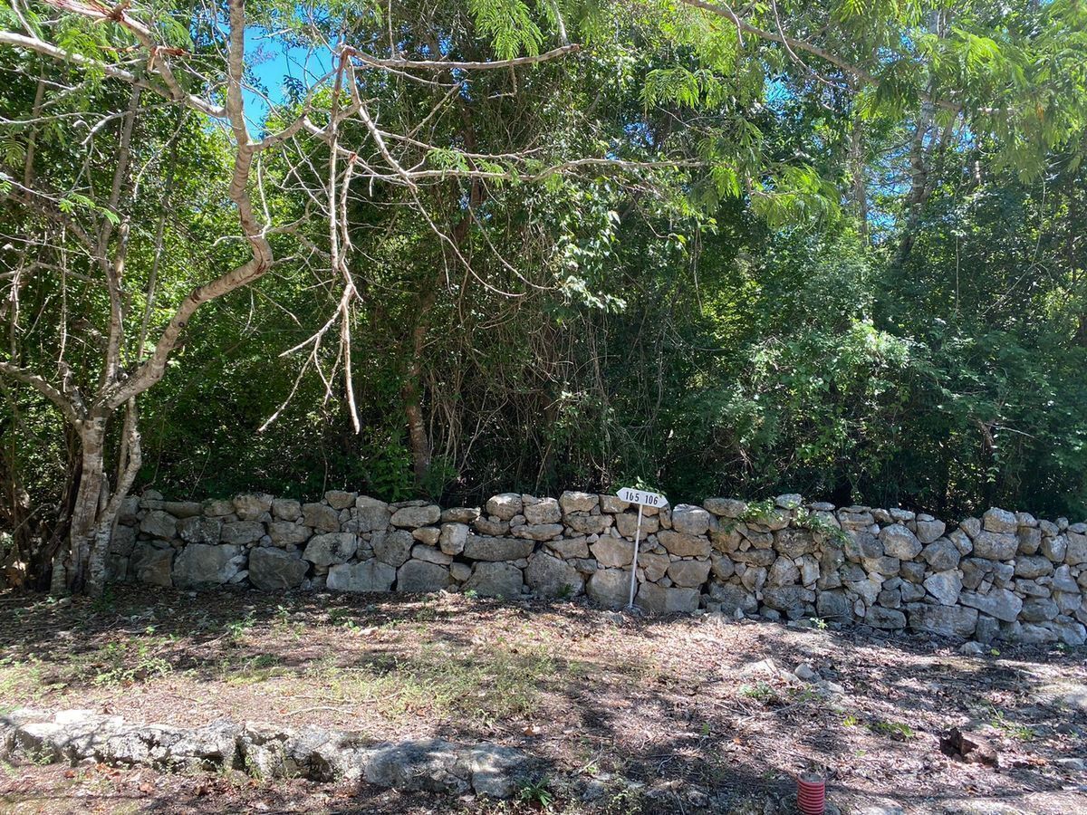 Excelente Terreno Puerta Mayab Quetzal 108. - foto 2