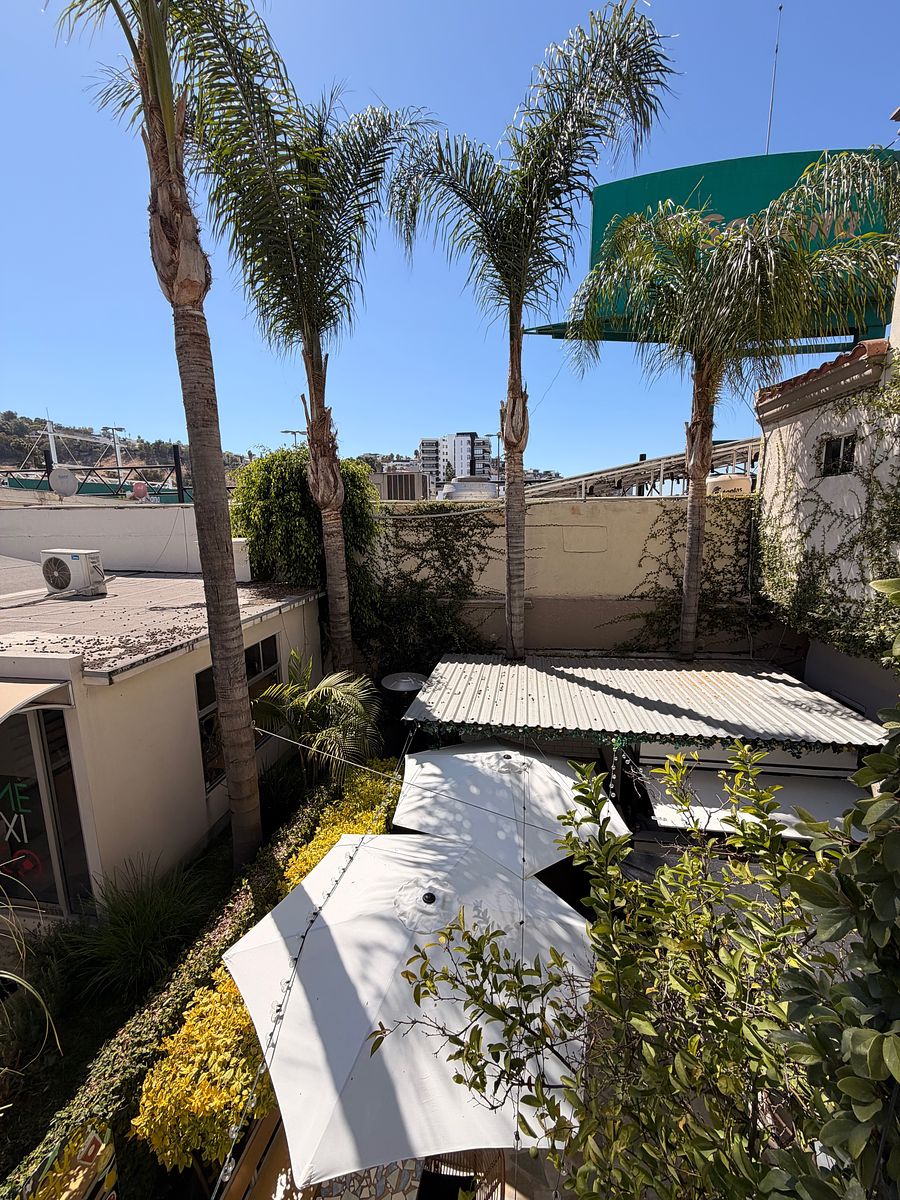 Office in Lomas de Agua Caliente 5a Sección, Tijuana, photo 17 of 18