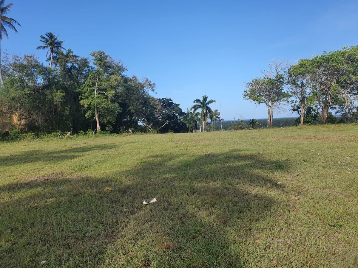 28 de 30