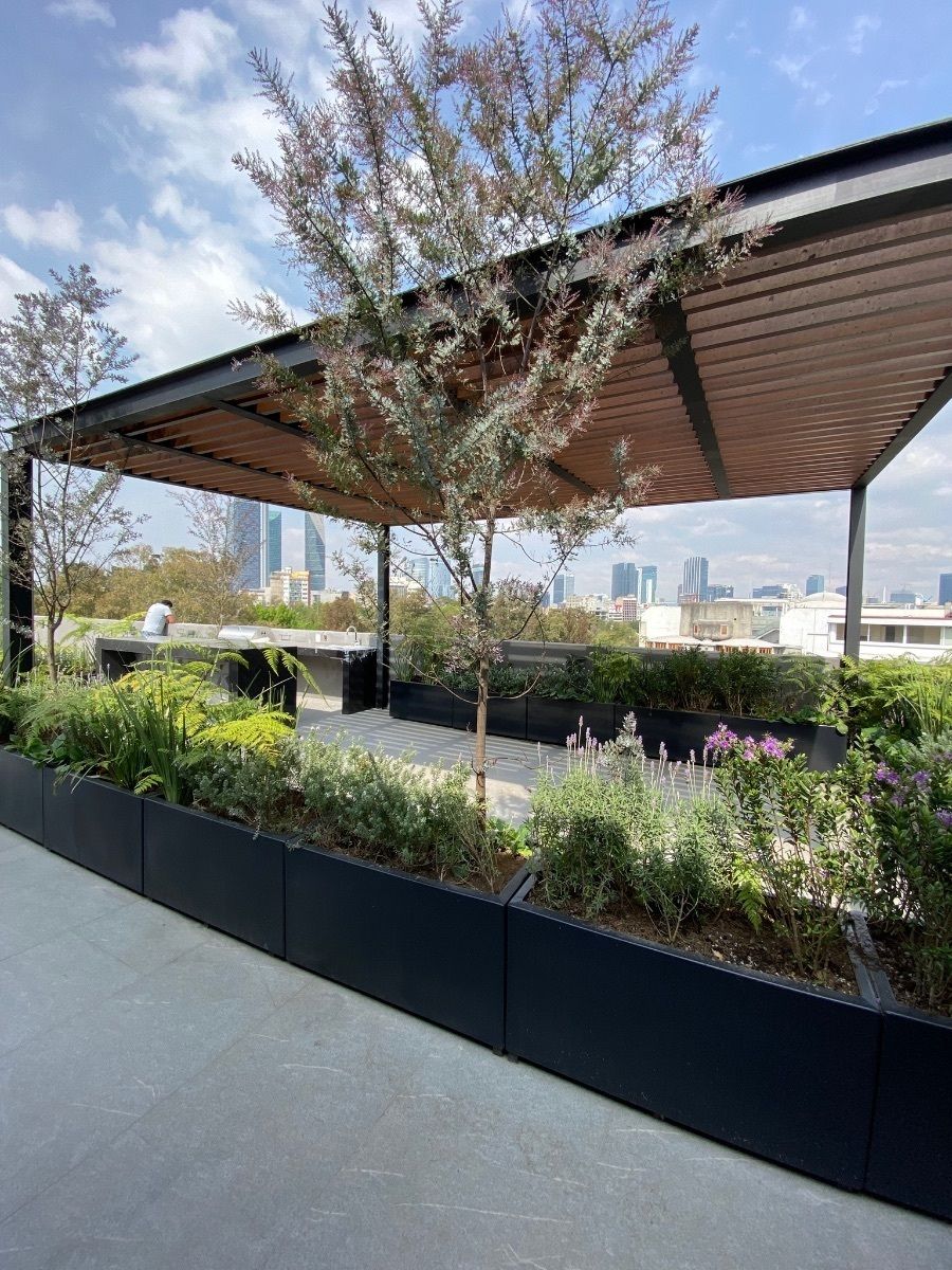 32 de 37: Roof garden