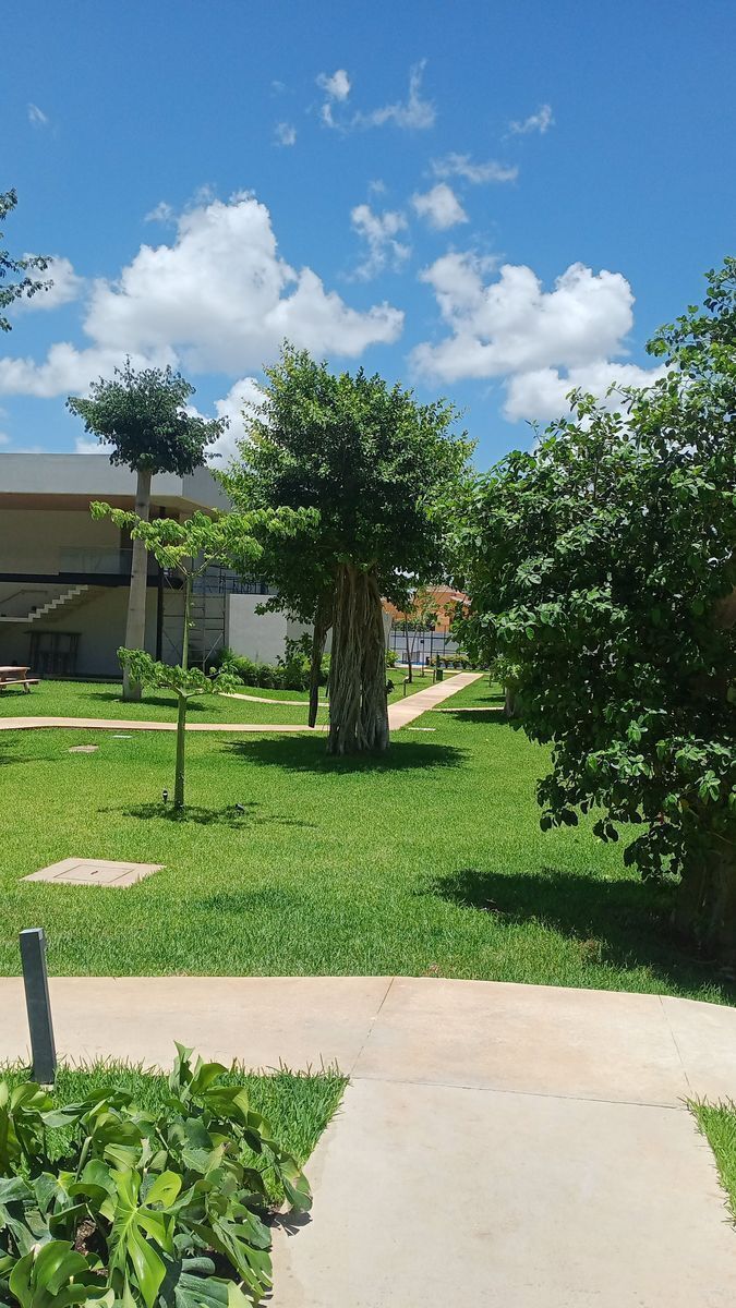 4 de 17