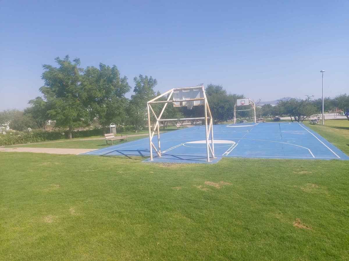 14 de 15