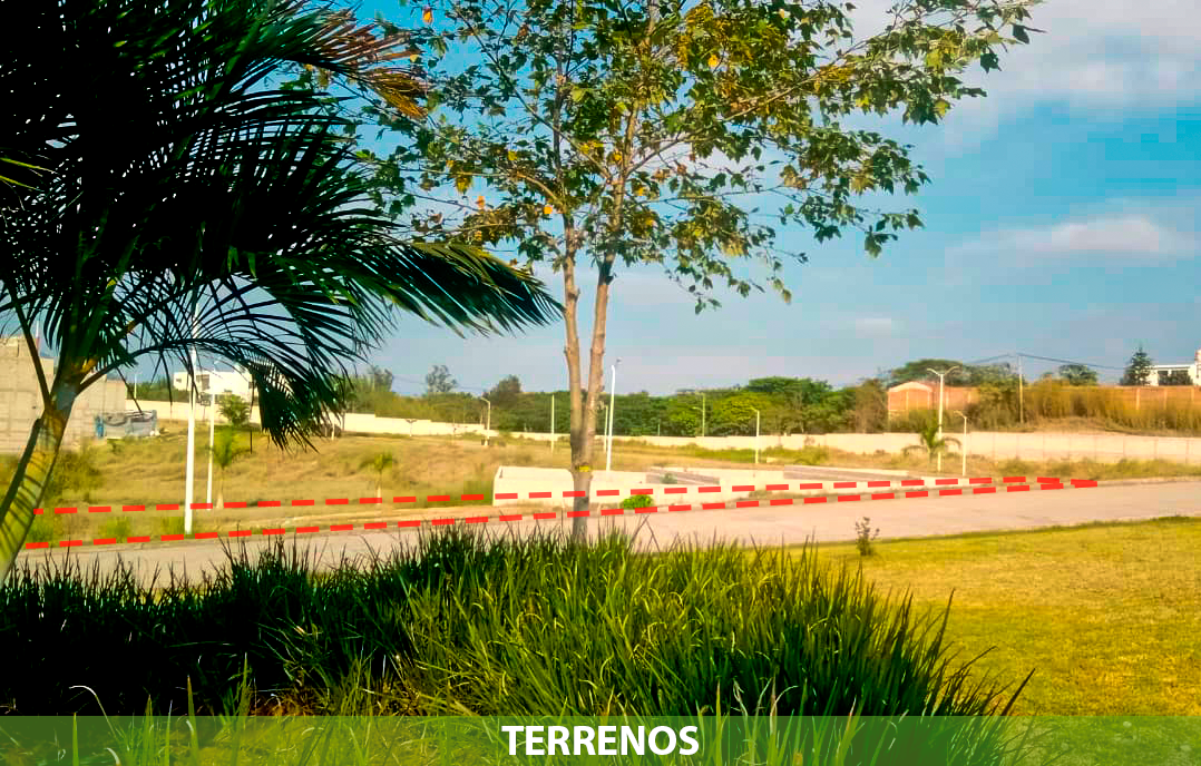 4 de 8
