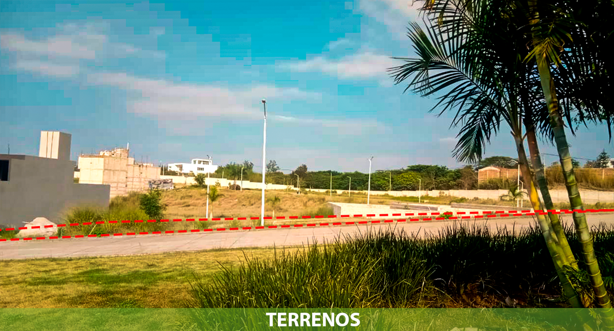 3 de 8