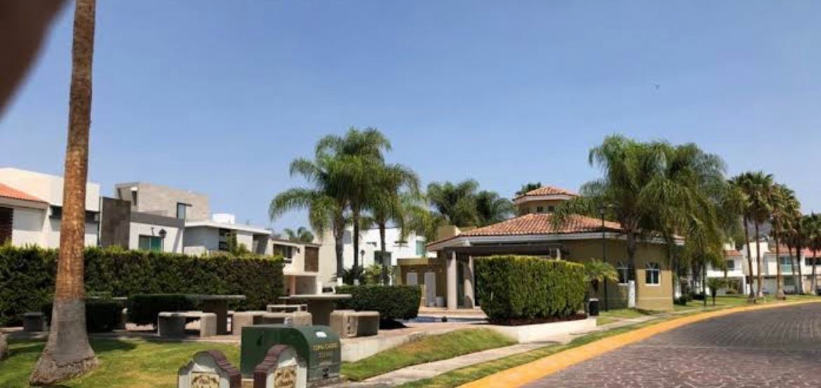 5 de 17