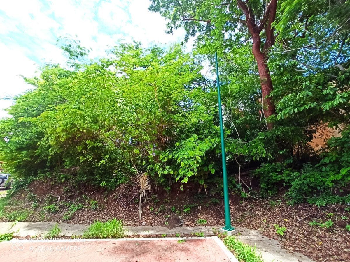 Terreno en venta en ixtapa Zihuatanejo Guerrero