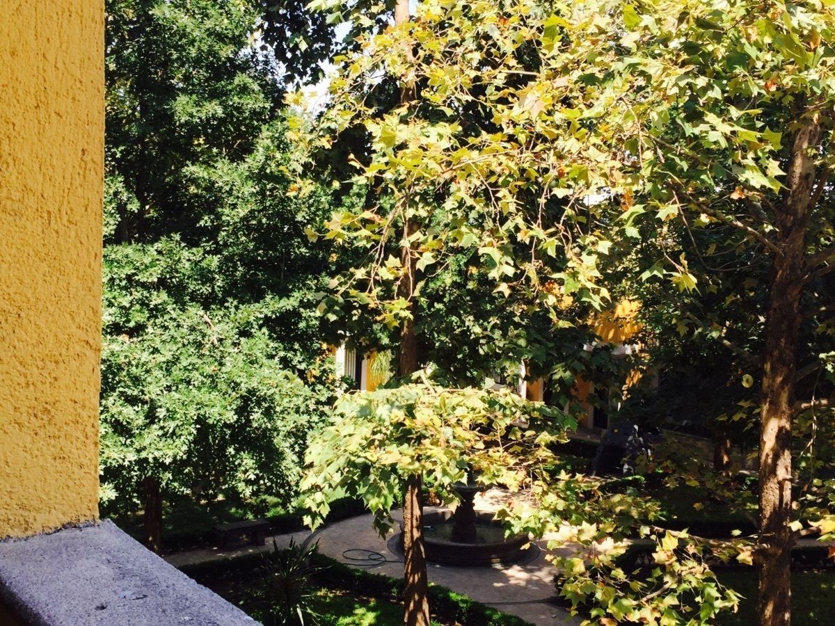 3 de 16: Áreas verdes