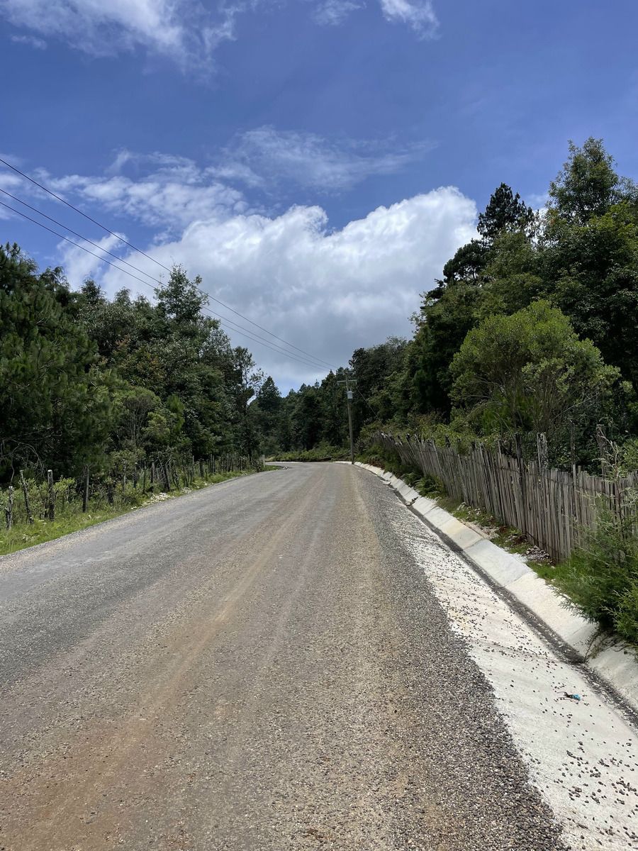 5 de 6: caminos al terreno