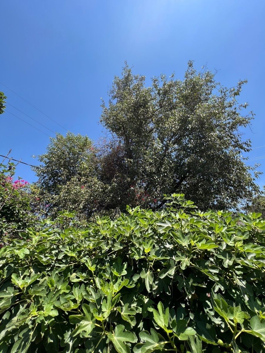 38 de 39