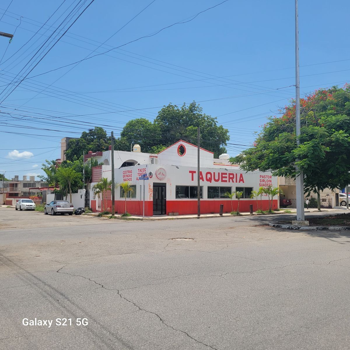 3 de 12