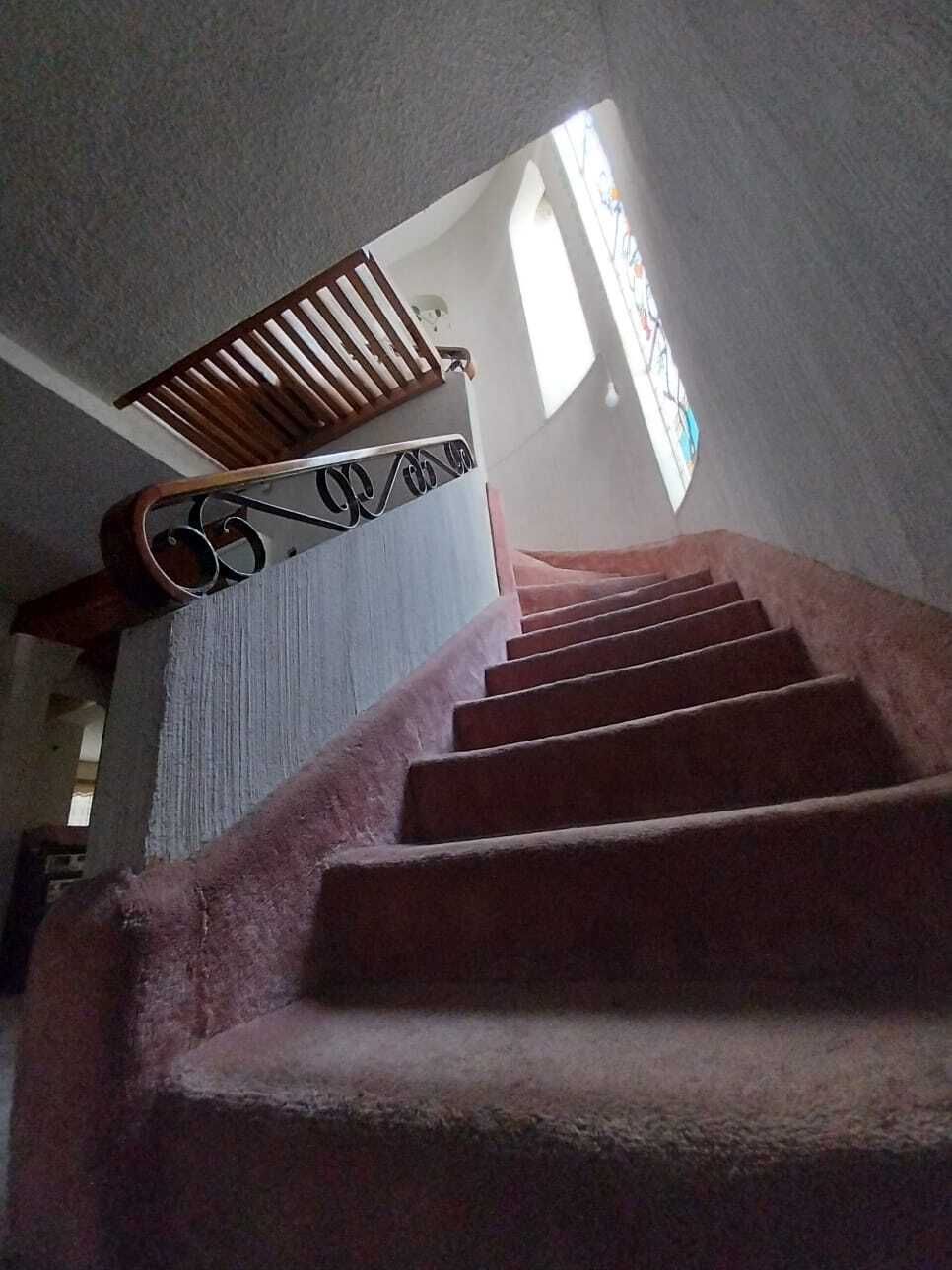 3 de 49