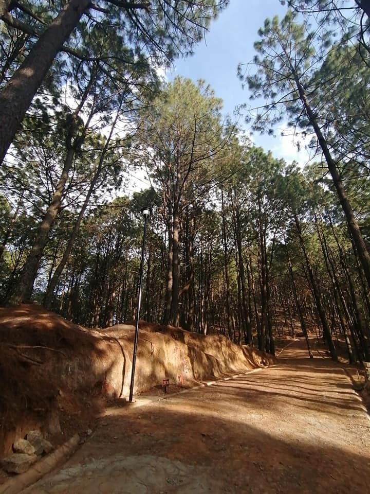 Terreno en Venta en Mazamitla - foto 2