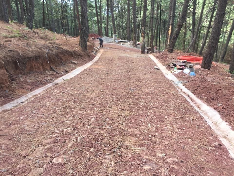 Terreno en Venta en Mazamitla - foto 4