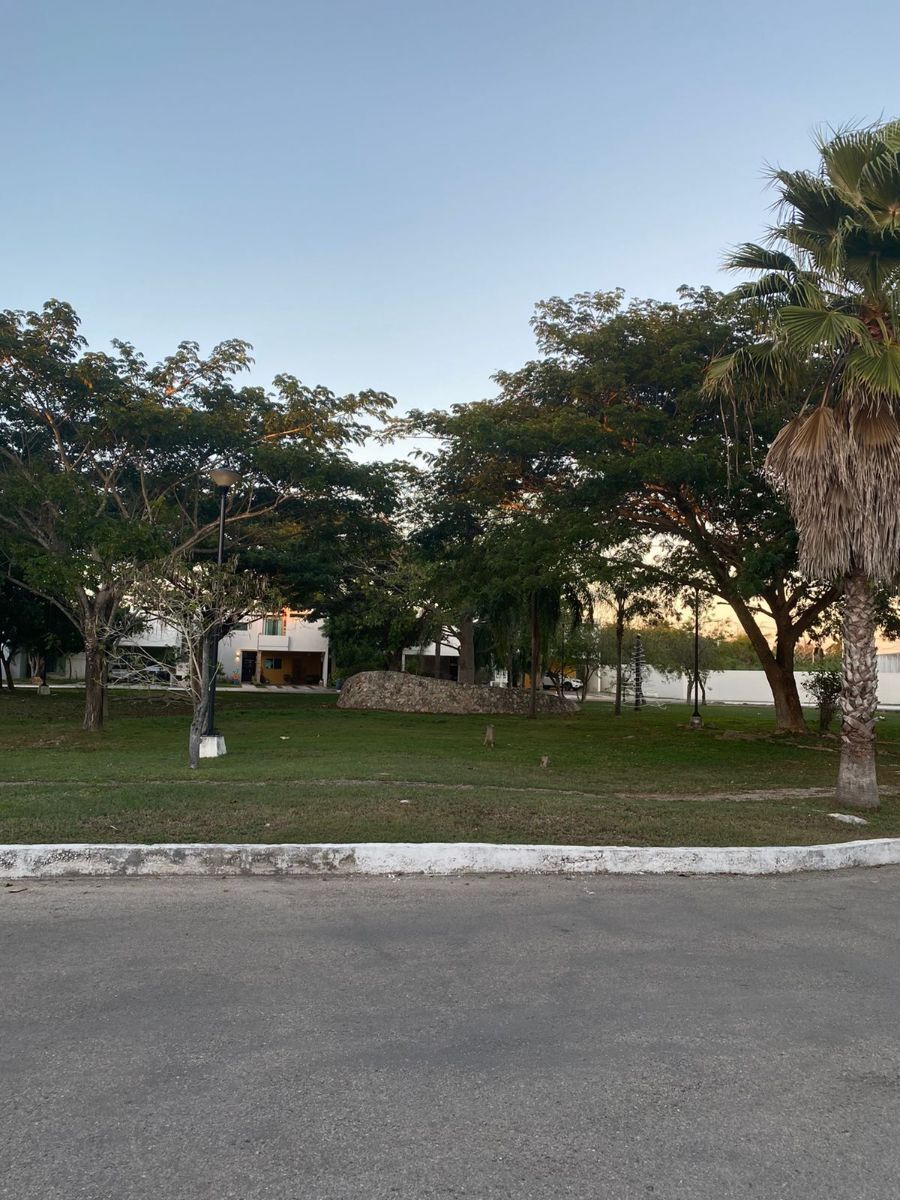 5 de 23