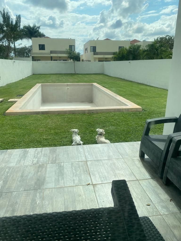 23 de 23