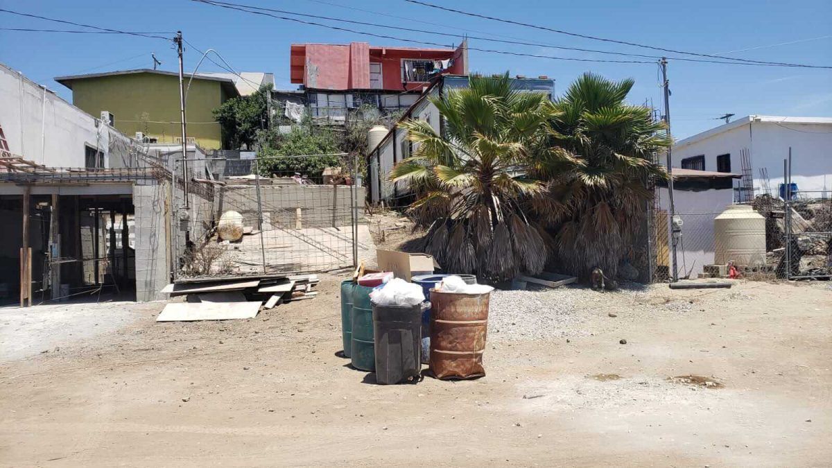 Imagen 3 de 7