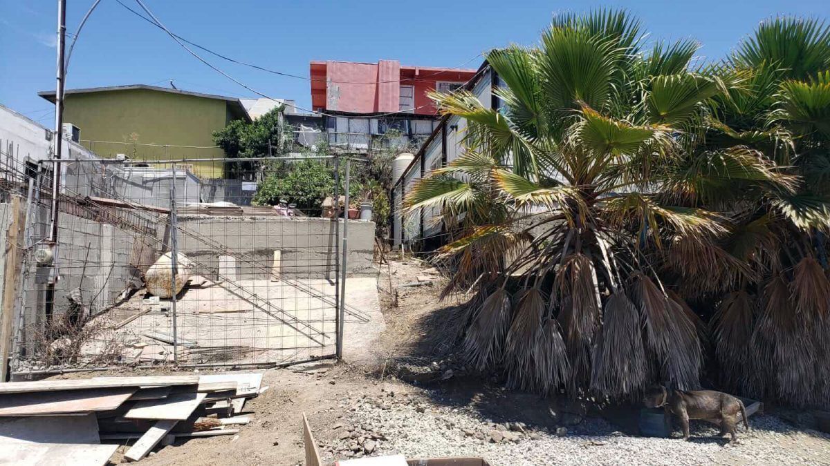 Imagen 7 de 7