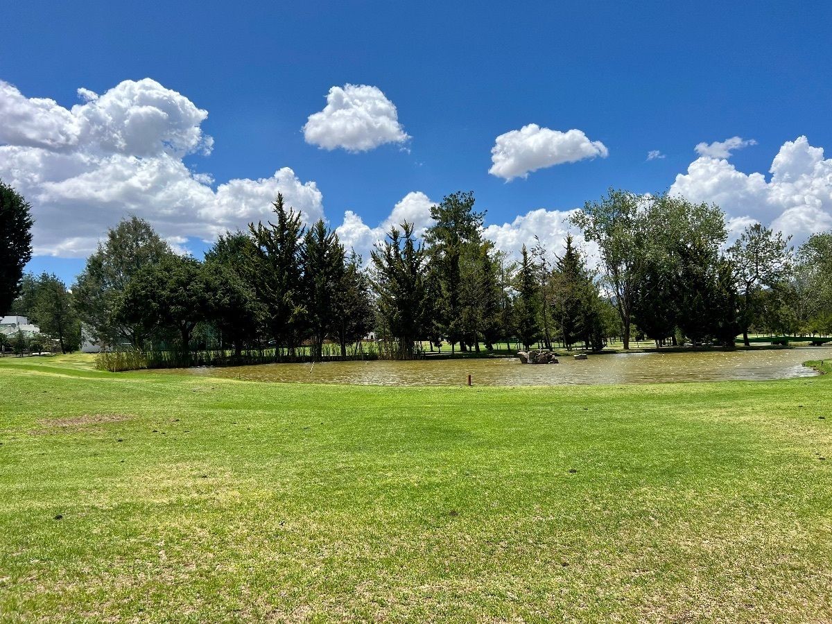 5 de 43