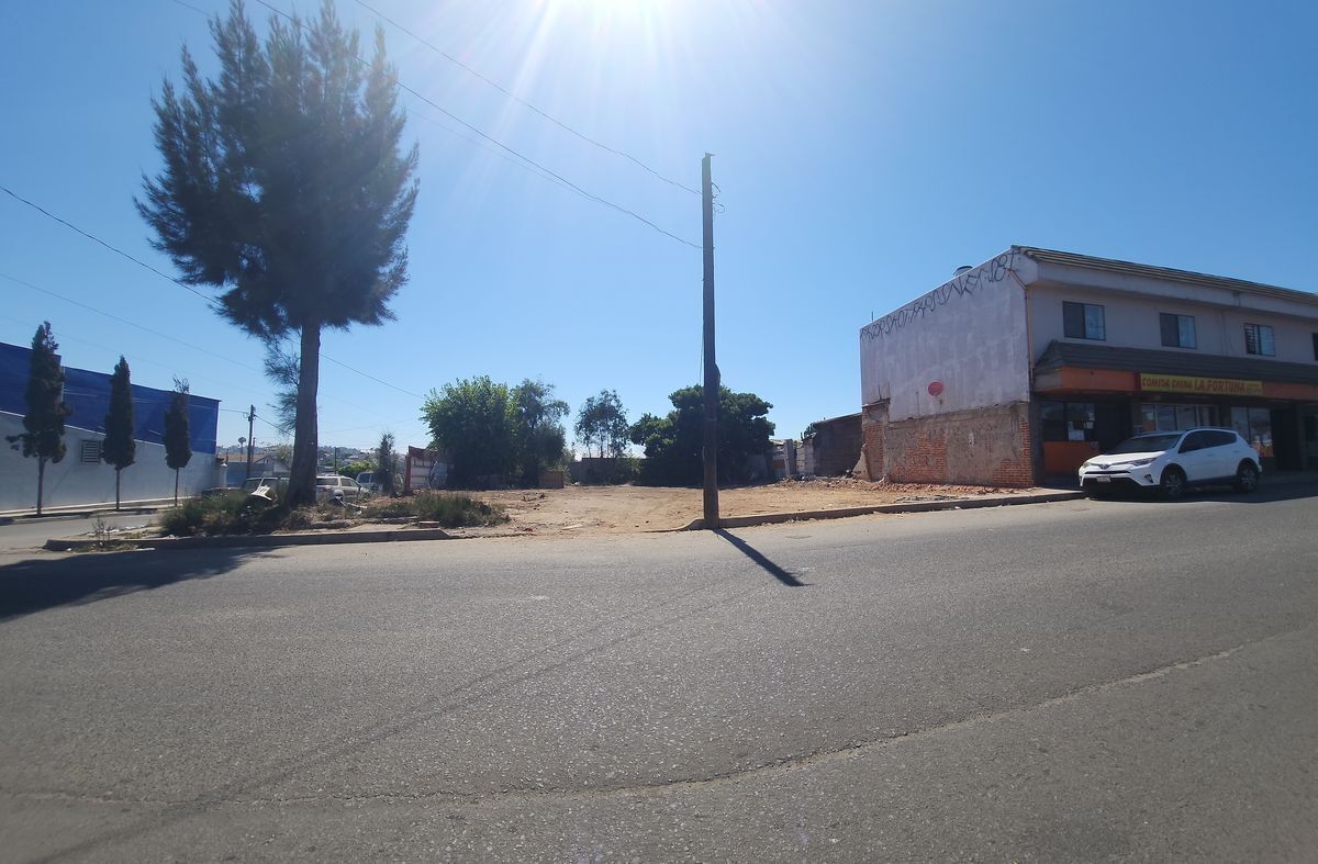 3 de 6