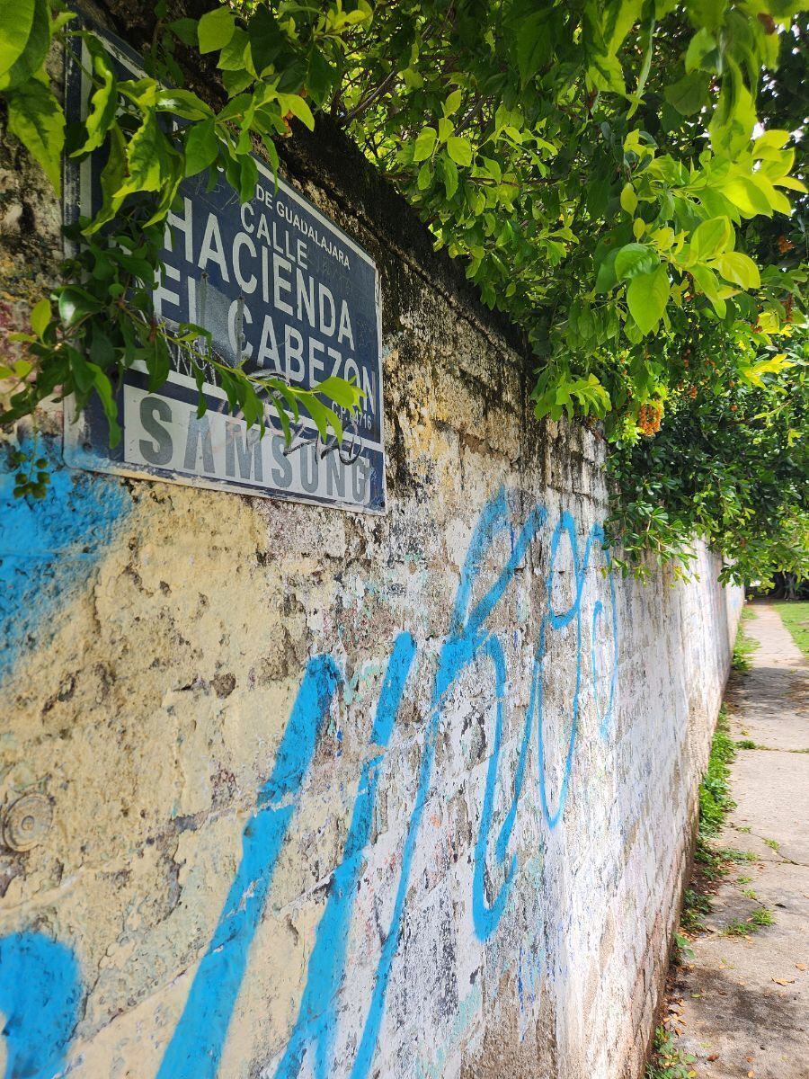5 de 7