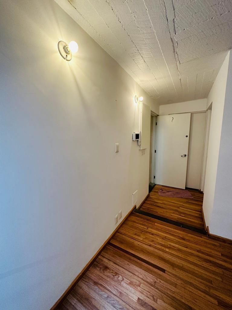 14 de 29: Pasillo de la entrada