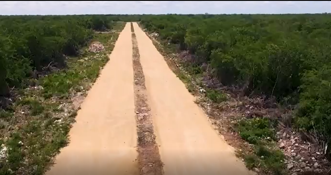 2 de 4
