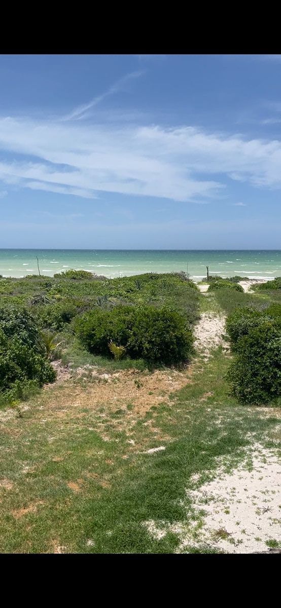 Terreno en Venta Frente al Mar en Sisal en Mérida Yucatán