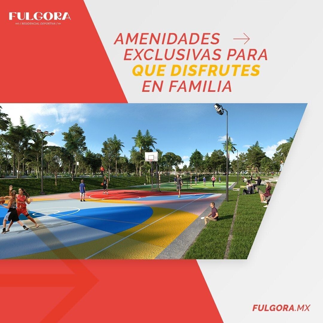 1 de 12