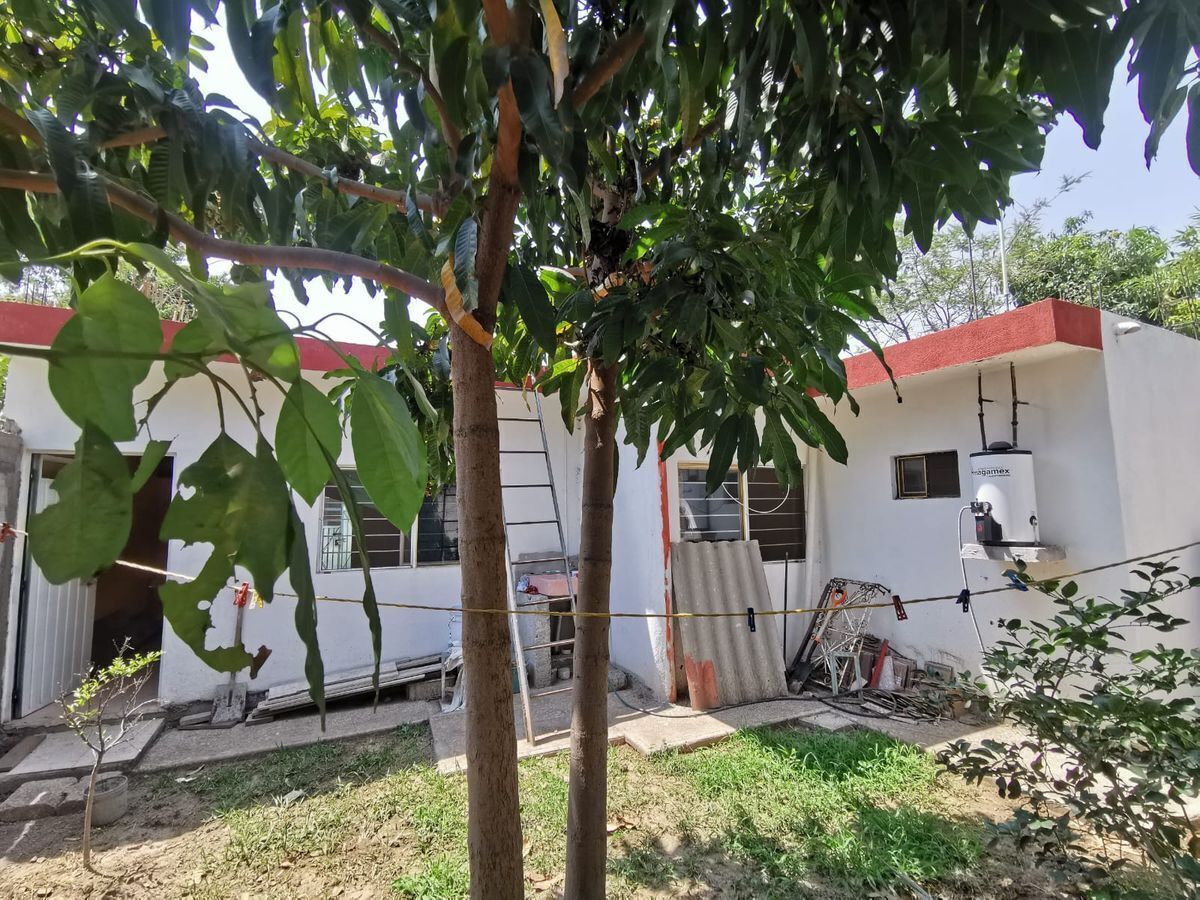 5 de 11