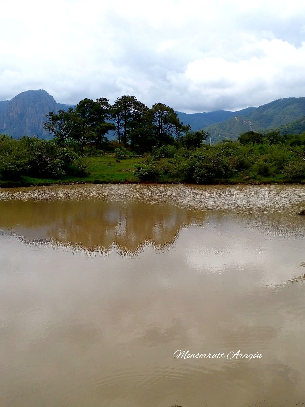 Imagen 7 de 10