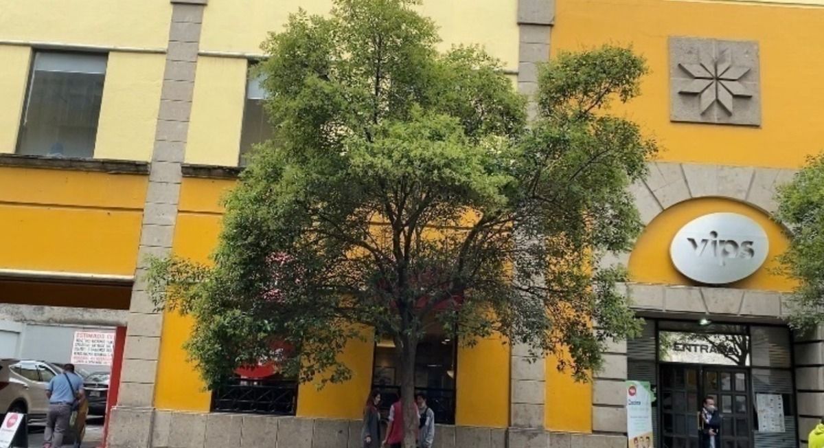3 de 9