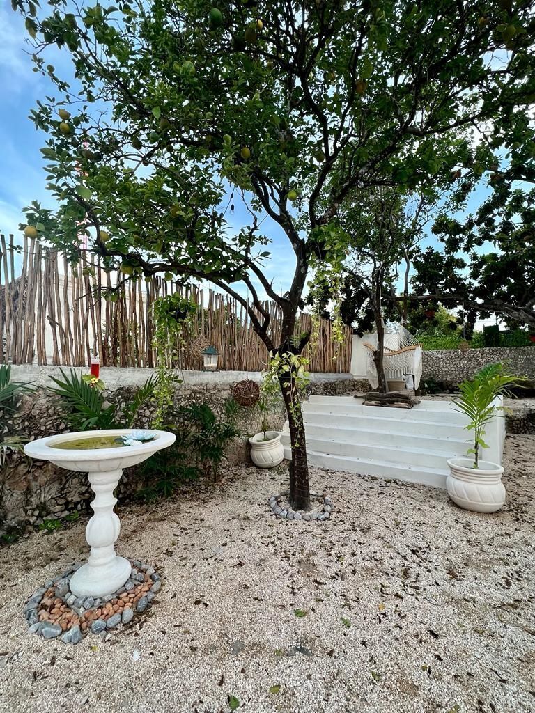 Casa en Mérida Centro, Mérida, foto 19 de 35