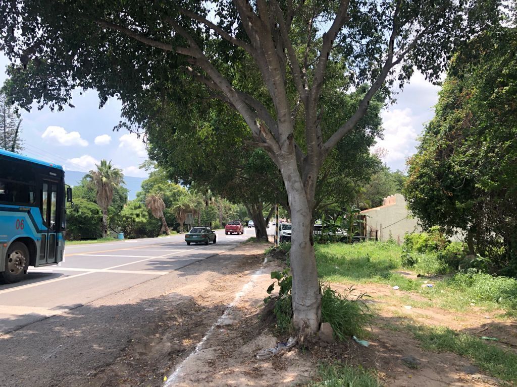 Terreno en venta en Castillos,Del,Chante, Chantepec, Jocotepec, Jalisco