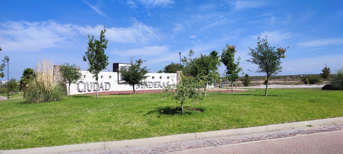 3 de 19: Entrada a Cuidad Maderas Leon