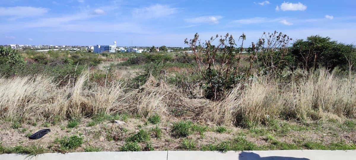 7 de 19: Alrededor del lote comercial