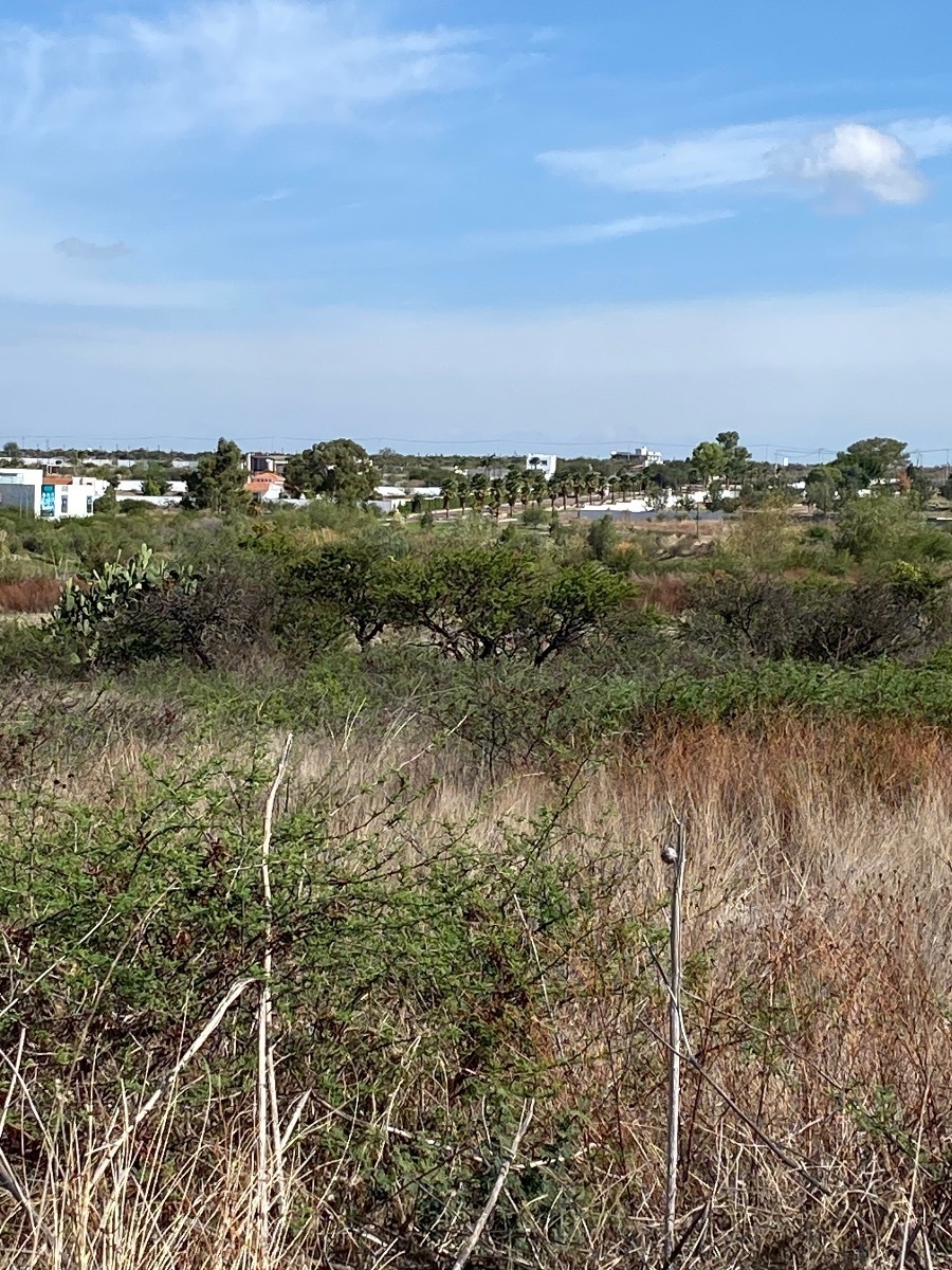 13 de 19: Escuela de fútbol profesional