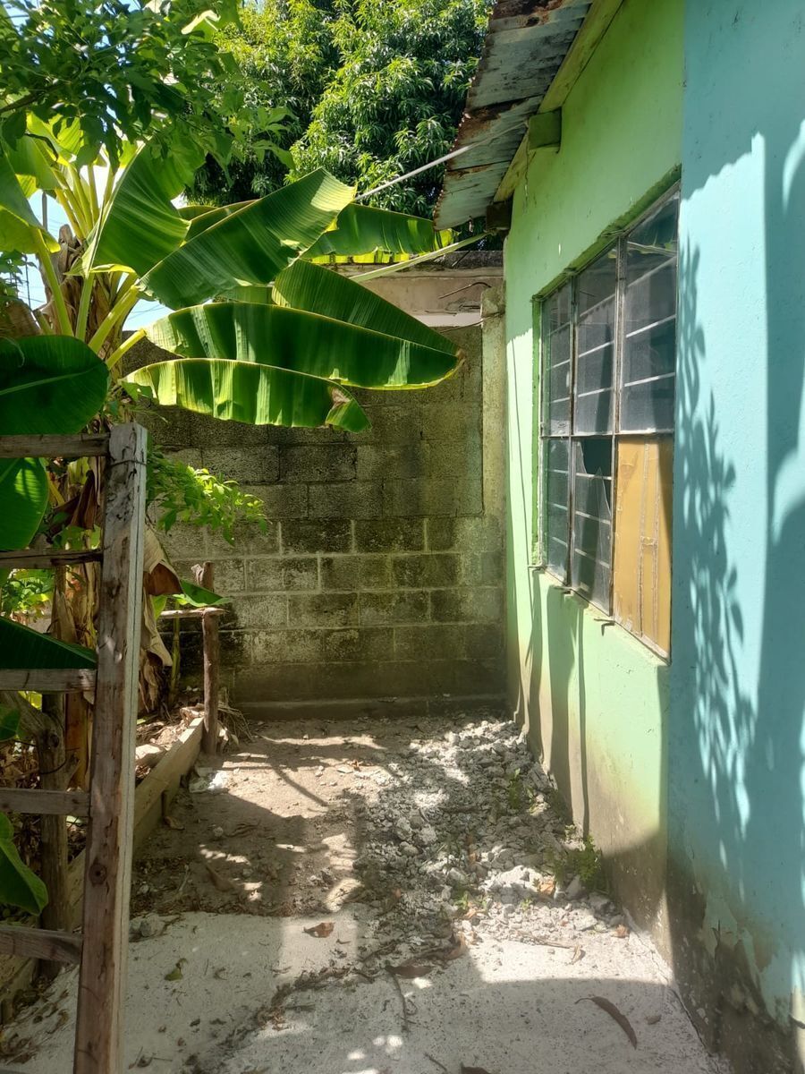 4 de 8